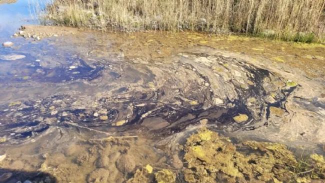 Irrigación destituyó a la inspectora que denunció contaminación