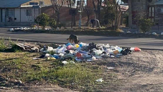 Luján de Cuyo: la basura se adueña del Acceso Sur