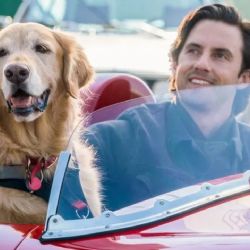 Una conmovedora película llega a Netflix