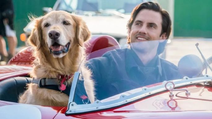Una conmovedora película llega a Netflix