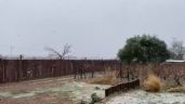Foto ilustrativa de la nota titulada: La tormenta de Santa Rosa se convirtió nevadas en el llano