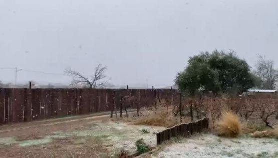 La tormenta de Santa Rosa se convirtió nevadas en el llano