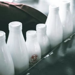 La producción de leche creció 9,7% en 2025 y alcanzó el mayor volumen en 10 años