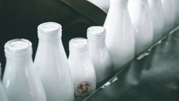 La producción de leche creció 9,7% en 2025 y alcanzó el mayor volumen en 10 años
