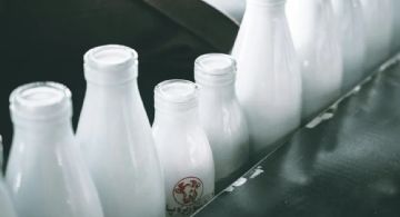 Leche contaminada provoca alerta sanitaria en Florida