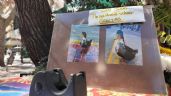 Foto ilustrativa de la nota titulada: El debate animalista que inició el “desalojo” del pato Juan: “Se está analizando realizar una comisión”
