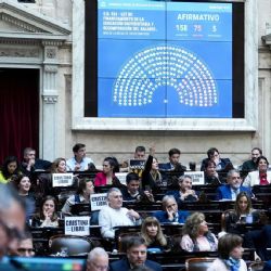 Diputados le dio media sanción al financiamiento universitario y a subir los salarios del Garraham