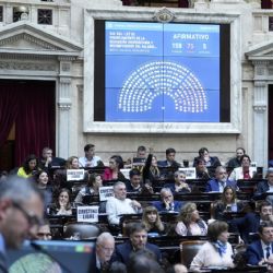 Cuáles son los cinco DNU clave que rechazó Diputados y frenaron a Milei