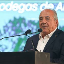 Bodegas de Argentina se sumó a las quejas por la suba de la contribución de Coviar