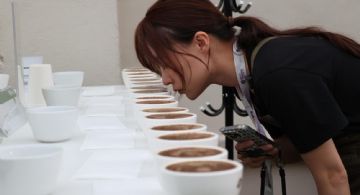 Récord: un café panameño fue vendido a US$ 30.204 el kilo