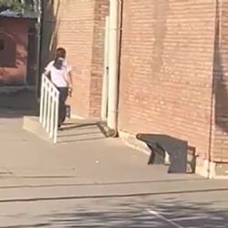 Una joven de 14 años entró armada a una escuela y disparó