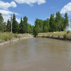 Cinco empresas interesadas en una obra para beneficiar a regantes de San Carlos