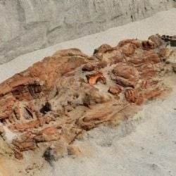 Encontraron una inquietante tumba con cuerpos atados en Perú 