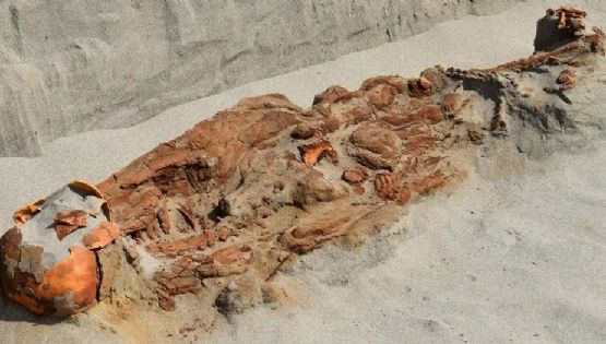Encontraron una inquietante tumba con cuerpos atados en Perú 