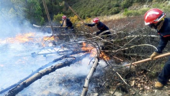 La gobernación de Santa Cruz, en Bolivia, declaró la emergencia