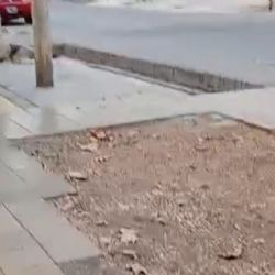 Una vereda abandonada desde hace años en plena Ciudad de Mendoza