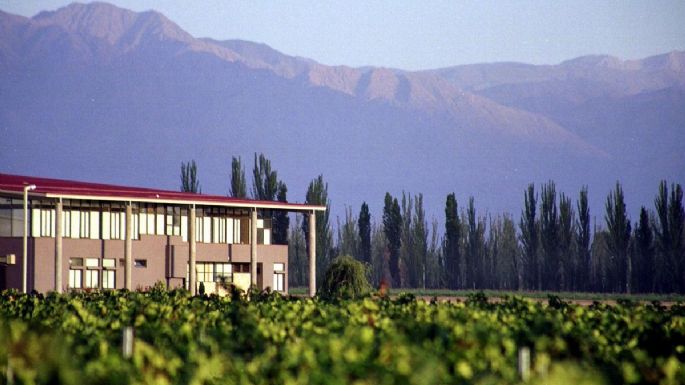 Vigil y tres bodegas mendocinas ternados en los Wine Star Awards