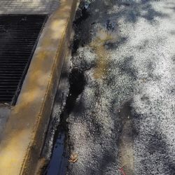 Denuncian que Edemsa derramó un aceite contaminante en la Ciudad de Mendoza