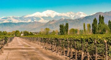Mendoza entre los destinos más elegidos para el próximo fin de semana largo