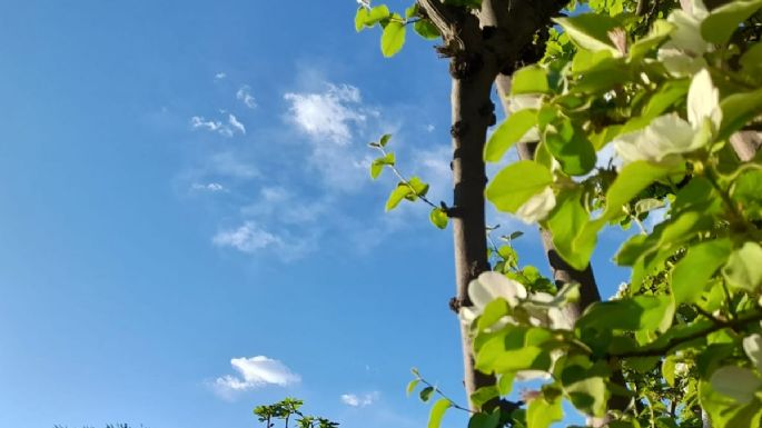 Así estará el tiempo en Mendoza este sábado