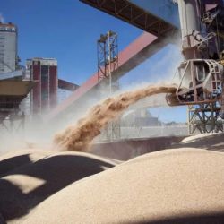 Retenciones cero: la jugada del Gobierno ante la necesidad de dólares