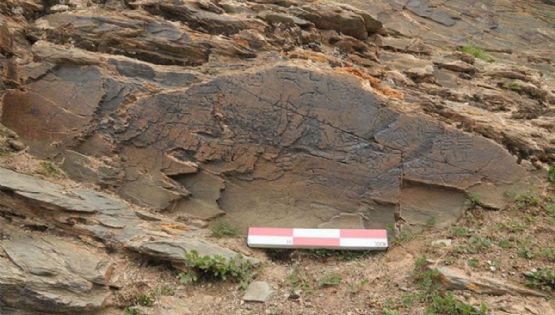 La única piedra grabada conocida de la dinastía Qin