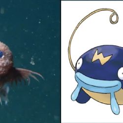 Descubren una nueva especie de pez y sorprende por su parecido a un Pokémon