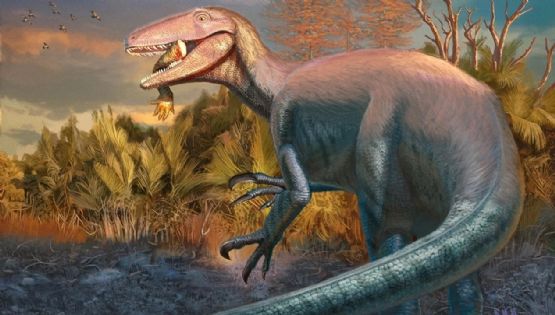 Hallan en Chubut uno de los últimos dinosaurios carnívoros que habitó la Tierra