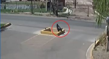 ¡Qué peligro! Un zanjón se tragó a un peatón en Guaymallén