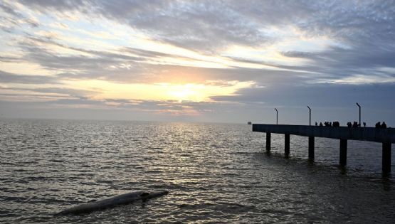La NASA convierte al Río de la Plata en una sinfonía