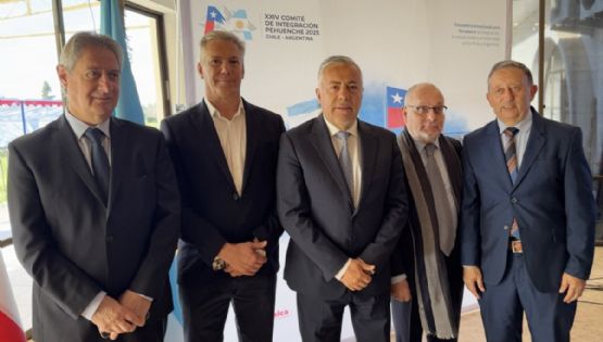 Cornejo criticó la infraestructura del Paso Pehuenche: qué dijo