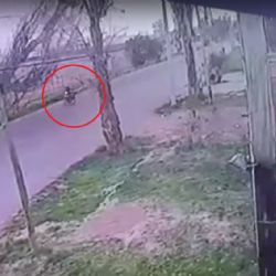 Un árbol cayó sobre un delivery en Las Heras y otro sobre una niña en San Martín