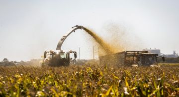 Paso a paso: cómo grandes exportadores se subieron a la bicicleta
