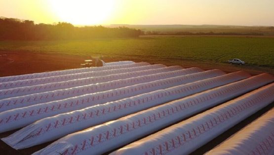 El Gobierno liquidó casi la mitad de las divisas que acumuló por la quita de retenciones