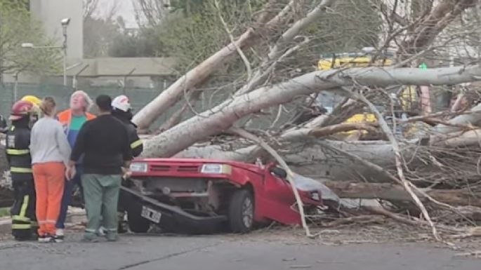 Una mujer murió aplastada por un árbol en Maipú 