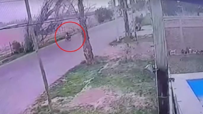 Un árbol cayó sobre un delivery en Las Heras y otro sobre una niña en San Martín