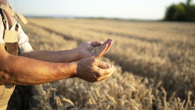 Federación Agraria: “La baja de retenciones no beneficia al campo chico"
