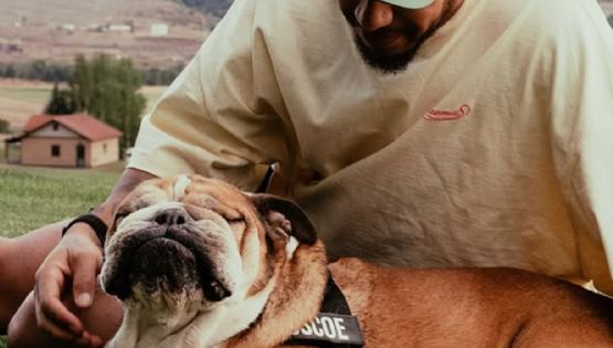 Murió Roscoe, el fiel bulldog de Lewis Hamilton