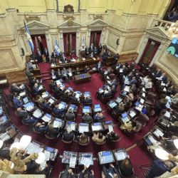 El Senado aprobó una limitación para el uso de los DNU