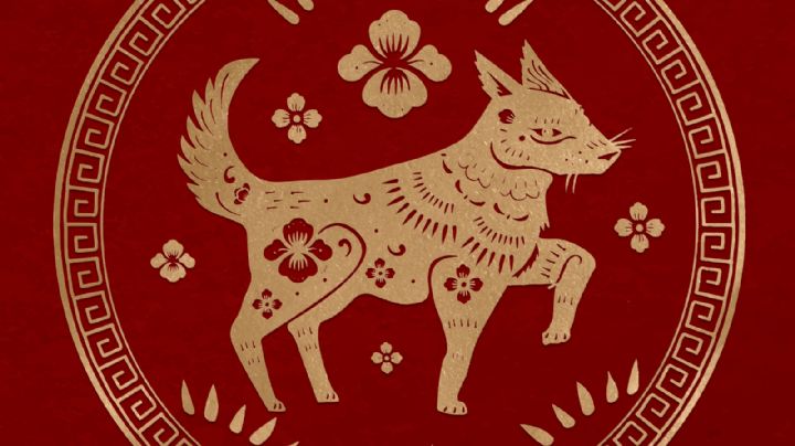 Horóscopo chino: los signos marcan tu futuro para este fin de semana