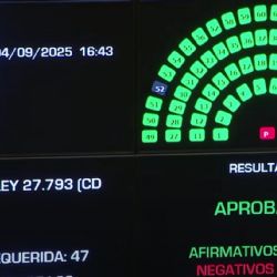 Discapacidad: el Senado rechazó el veto de Milei