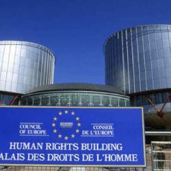 El "contrato amo-perra" entre dos compañeros de trabajo que complicó a la Justicia 