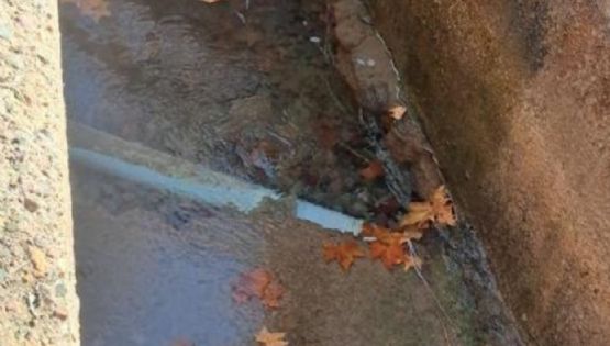 Luján de Cuyo: vecinos reclaman por una fuga de agua que lleva años sin solución