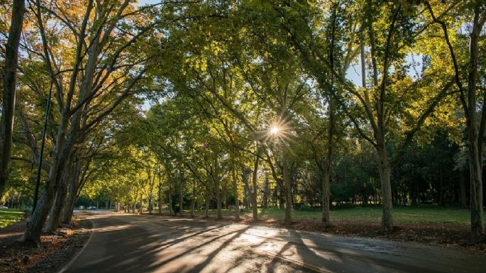 El domingo llega con sol y un ascenso de la temperatura