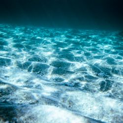 Las maravillosas montañas "al revés" en el fondo del océano