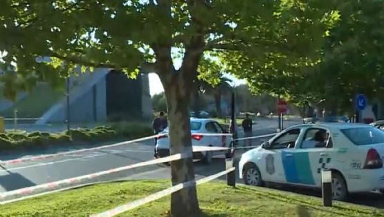 Nordelta: operativos para desalojar a los carpinchos y protestas de vecinos