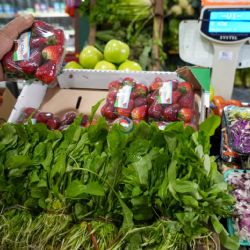 Una familia mendocina necesitó $1.180.842,79  para no ser pobre en diciembre