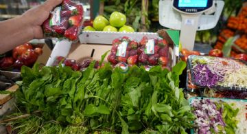 Una familia mendocina necesitó $1.180.842,79  para no ser pobre en diciembre