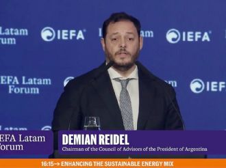 Incendios en la Patagonia y el carpetazo a un funcionario de Milei