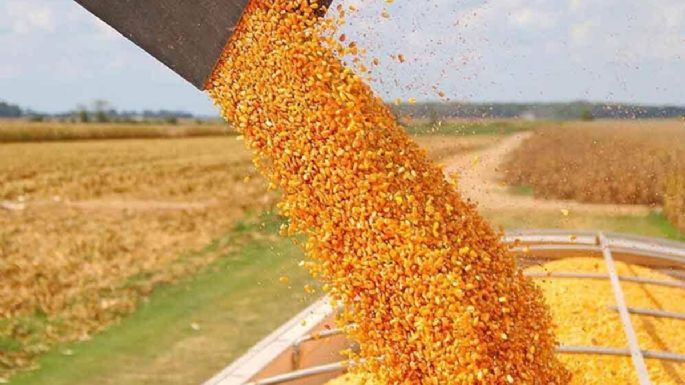 Agroexportadores advierten sobre la posibilidad de que la UE aplique salvaguardias a 24 productos